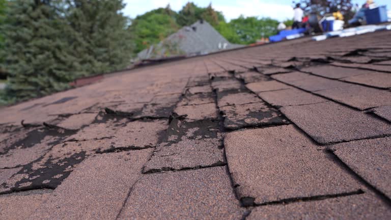 Best Green or Eco-Friendly Roofing Solutions  in River Heights, UT