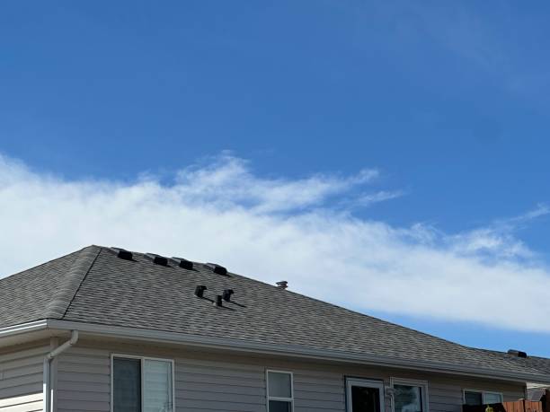 Best Roof Maintenance and Cleaning  in River Heights, UT