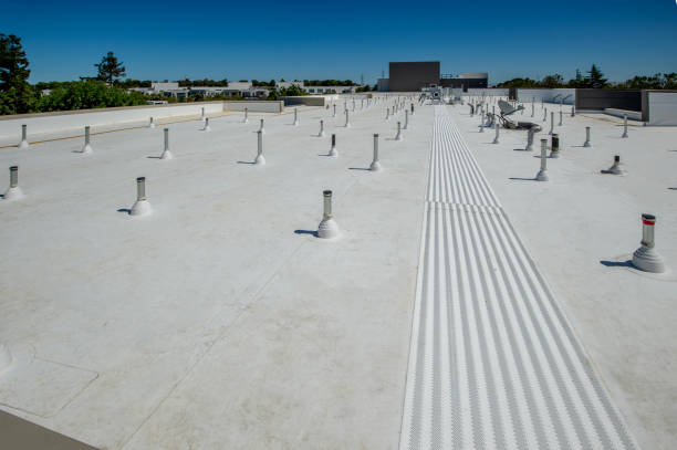 Best Roof Moss and Algae Removal  in River Heights, UT
